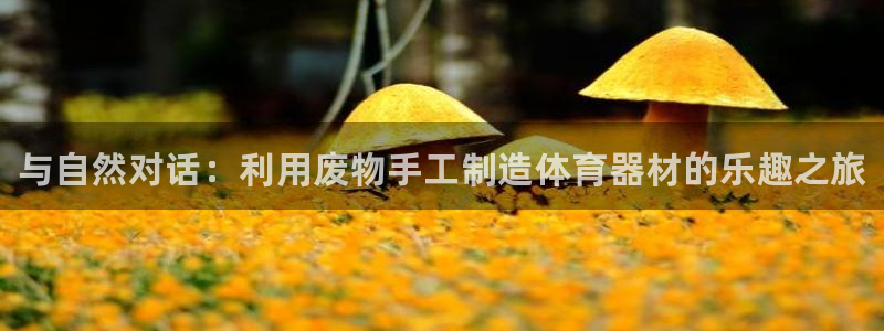 极悦平台是干嘛的公司