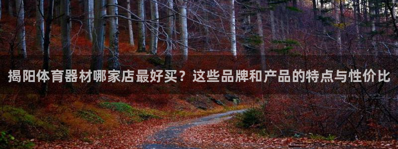 极悦平台注册流程详解图：揭阳体育器材哪家店最好买？这些品牌和