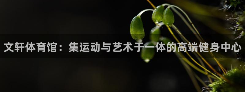 极悦娱乐官网下载app：文轩体育馆：集运动与艺术于一体的高端