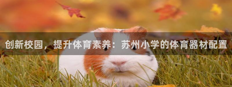 极悦平台是正规平台吗安全吗可靠吗:创新校园,提升体育素养:苏