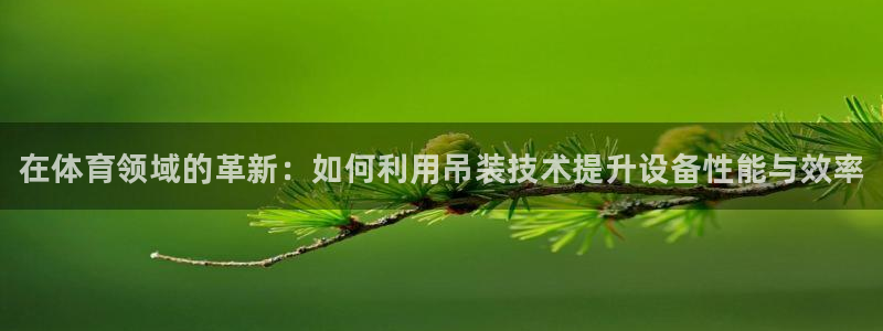 极悦平台注册和登录页面在哪:在体育领域的革新:如何利用吊装技