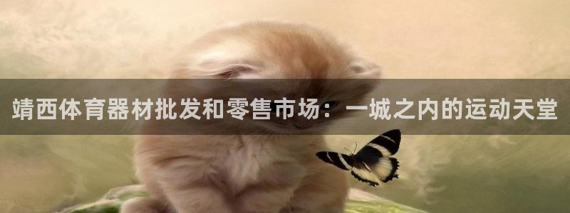 极悦娱乐的内部员工福利：靖西体育器材批发和零售市场：