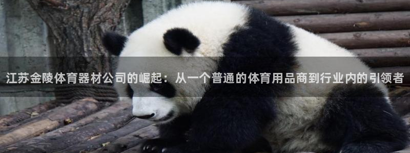 极悦官网首页登录入口网站：江苏金陵体育器材公司的崛起