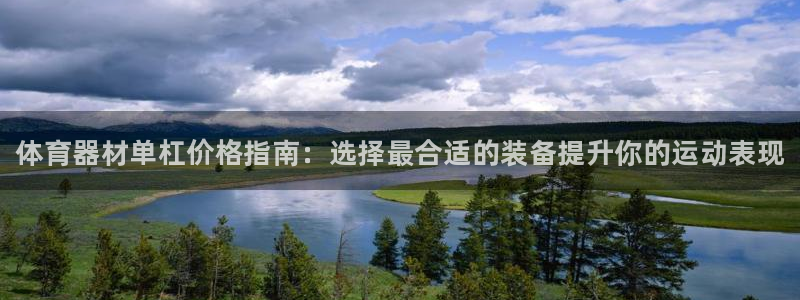 极悦平台官方网址查询：体育器材单杠价格指南：选择最合