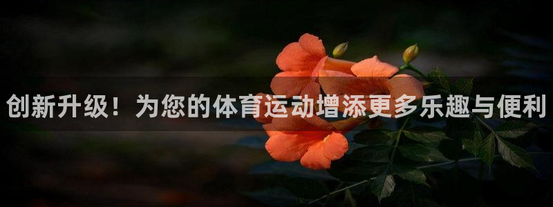 极悦娱乐负责人是谁