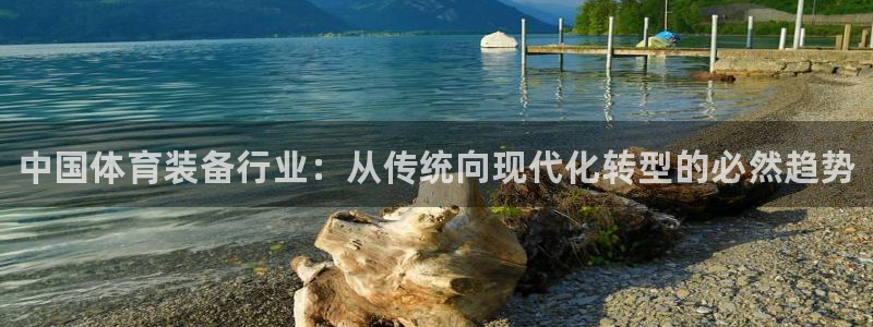 极悦平台官方网站入口