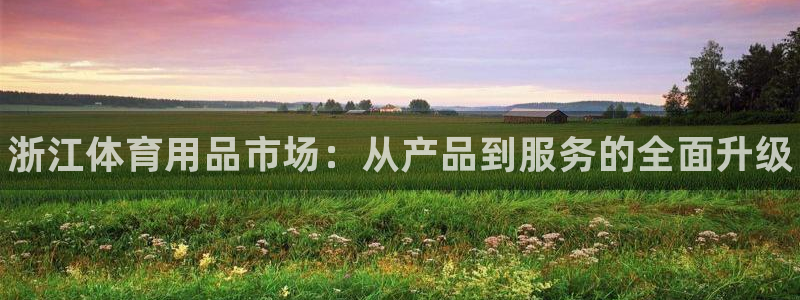 极悦平台使用注意事项是什么：浙江体育用品市场：从产品到服务的