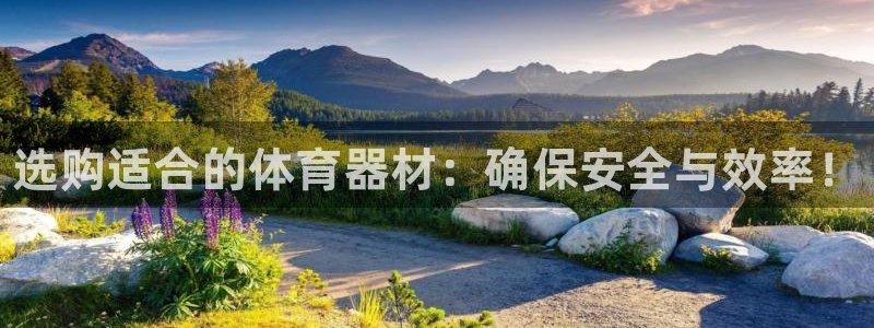 极悦平台与网易合作详情：选购适合的体育器材：确保安全