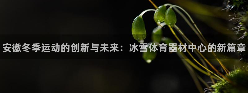 极悦官方网站入口：安徽冬季运动的创新与未来：冰雪体育器材中心